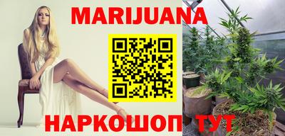 Альфа ПВП Гатчина