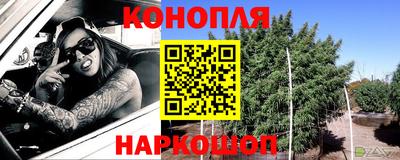 Альфа ПВП Гатчина