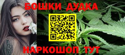 Альфа ПВП Гатчина
