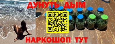 Альфа ПВП Гатчина