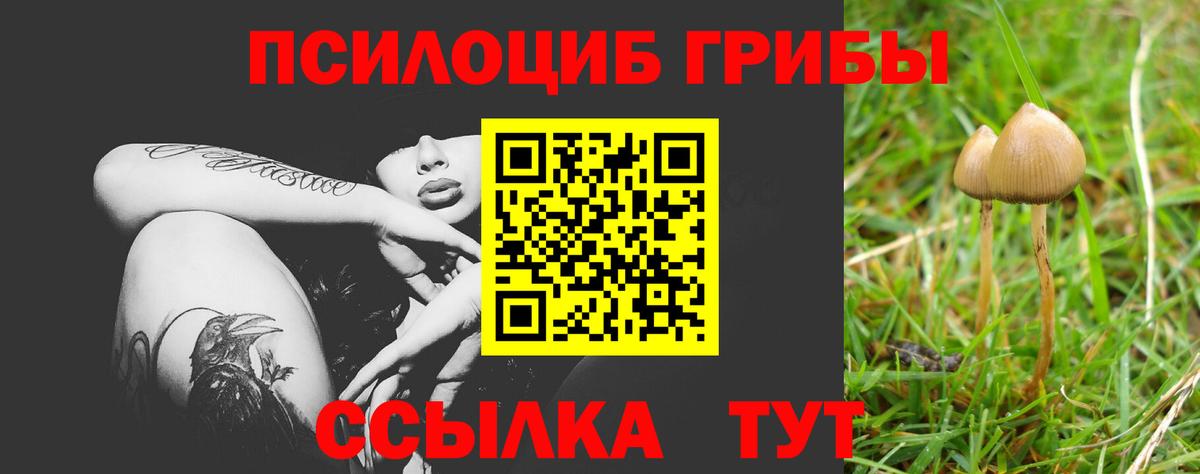 Галлюциногенные грибы Magic Shrooms  Жигулёвск 